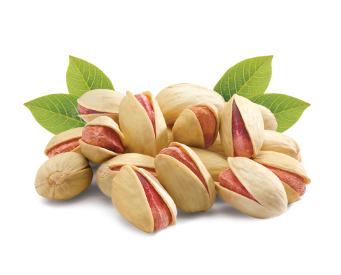pistachio